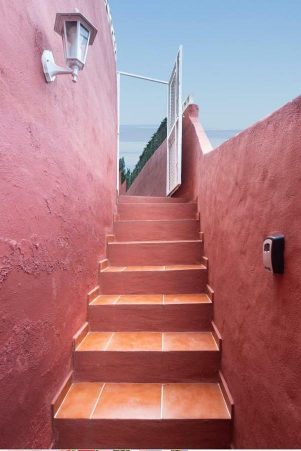 Casa Florida Apartment La Orotava Exterior photo
